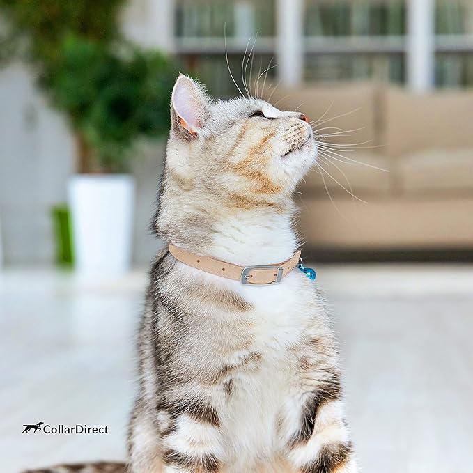 CollarDirect Leather Cat Collar with Removable Bell – Safety Elastic Strap (Breakaway Alternative) – Kitten Collar for Small & Big Boy & Girl Cats