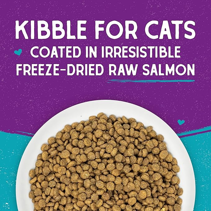 Stella & Chewy's Raw Coated Cat Food - High Protein, Grain-Free Kibble with Wild-Caught Salmon - Premium Digestive Support with Probiotics - Natural Small Kibble - Perfect for Picky Eaters - 5 lb Bag