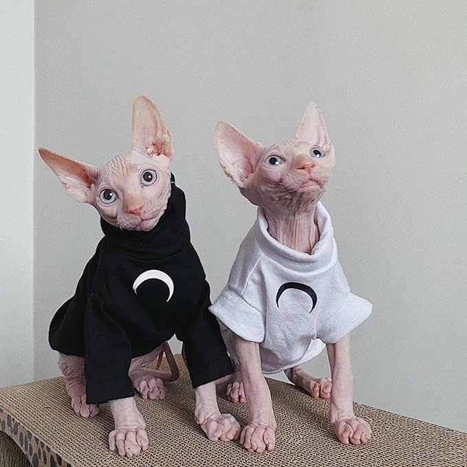 Sphynx Cat Clothes, Moon Print Turtleneck Cotton T-Shirt for Devon Rex Sphynx Cats (Black Short Sleeve, Large)