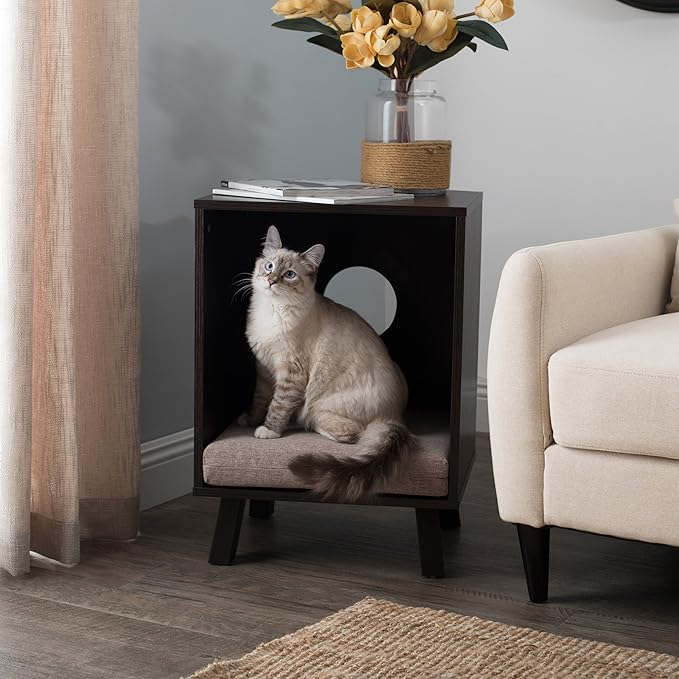 Paws & Purrs Stylish 2-in-1 Pet Bed & End Table – 3" Foam Cushion, Removable Cover, Compact Hideaway for Cats and Dogs Up to 25 lb