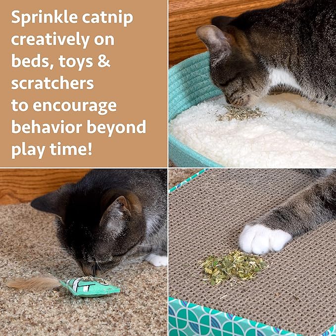 Kitty City Cat Premium Natural Catnip Collection, Gift Set