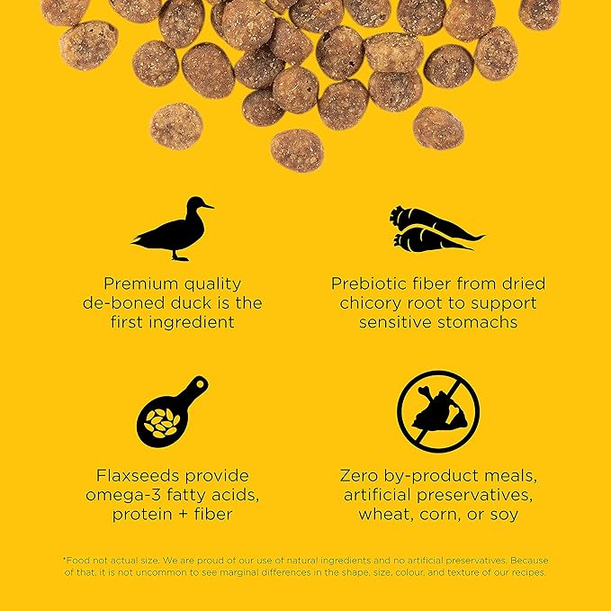 Go! Solutions Sensitivities Limited Ingredient Duck Grain-Free Dry Cat Food, Chicken-Free Kibble Made by Experts for Sensitive Stomachs & Food Allergies, for Kittens, Adults, & Seniors, 3 lb Bag