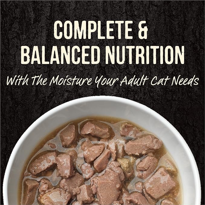 Merrick Backcountry Grain Free Premium And High Protein Wet Cat Food, Beef Recipe Cuts Morsels In Gravy - (Pack of 24) 3 oz. Pouches