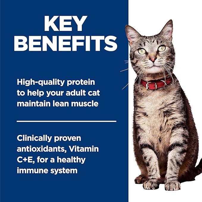 Hill's Science Diet Adult 1-6 Wet Cat Food, Salmon, 5.5 oz. Cans, 24-Pack