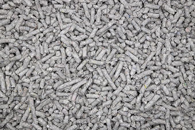 Light & Hygienic Recycled Paper Granules Cat Litter 12 Liter, Packaging May Vary