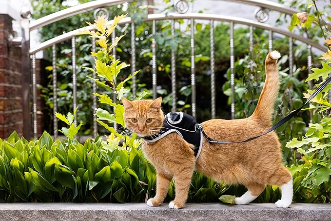 Travel Cat & Stray Cat Harness and Leash Set - Adjustable Velcro Mesh Cat Harness and Strong Nylon Leash Kit - Comfort Escape Proof Harness for Cats, Kitten for Outdoor Walking,Hiking (Small: 9-11 in)