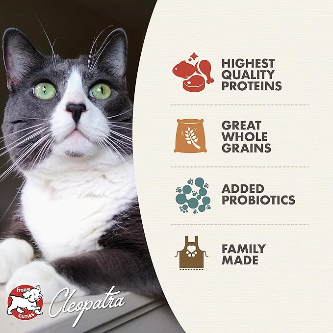 Fromm Healthy Weight Gold Dry Cat Food - Weight Management Cat Food for Adult & Senior Cats - Chicken Recipe - 10 lb
