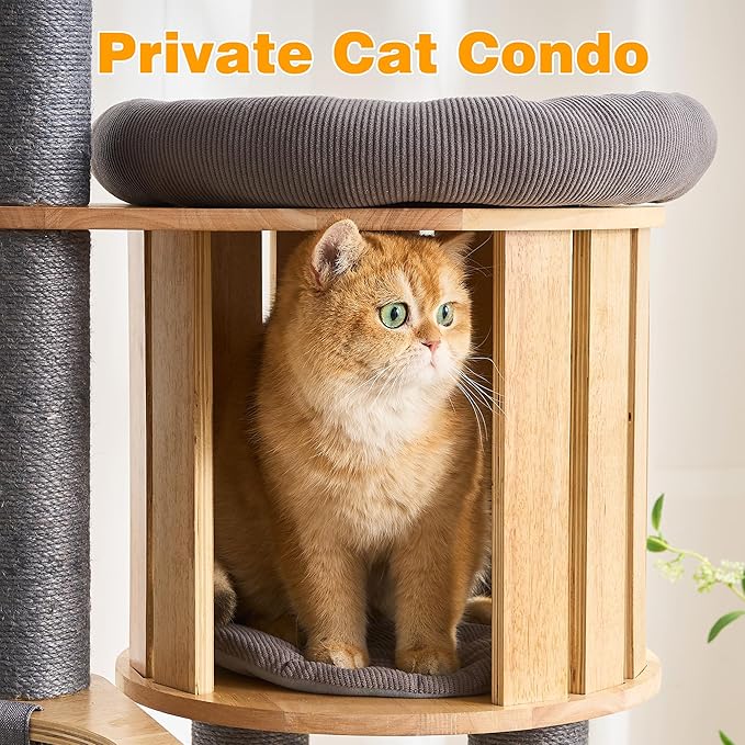 HITTITE Solid Wood Cat Tree Tower with Scratching Post, 61 Inches Tall Cat Towers with Capsule and Condo, Modern Cat Tower with Hammock and Removable Top Bed for Indoor Cats.Grey