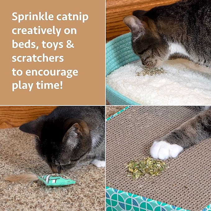 Kitty City Cat Premium Natural Catnip Collection, Catnip With Silvervine