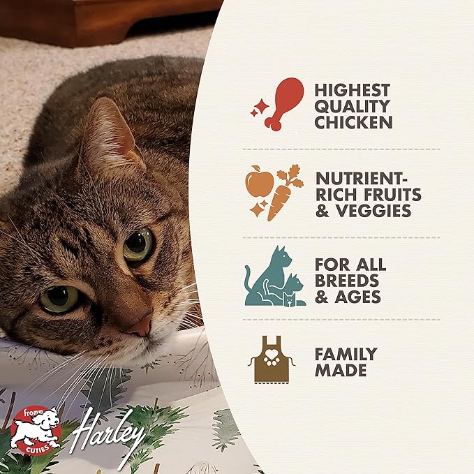 Fromm Four-Star Nutritionals Chicken A La Veg Cat Food - Premium Dry Cat Food - Chicken Recipe - 10 lb