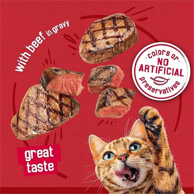 Purina Friskies Prime Filets with Beef in Wet Cat Food Gravy - (Pack of 24) 5.5 oz. Cans