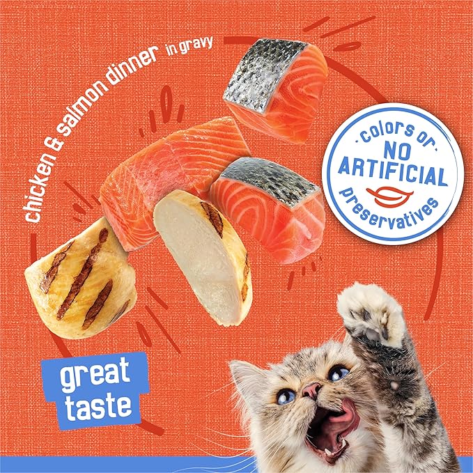 Friskies Purina Shreds Chicken and Salmon Dinner in Wet Cat Food Gravy - 5.5 oz. Cans (Pack of 48)