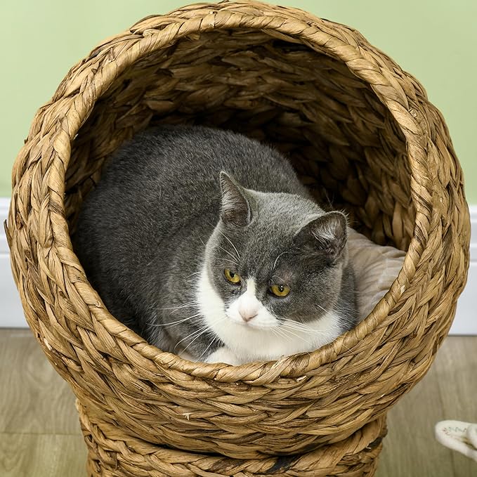 PAWHUT Egg Chair Rattan Elevated CAT Bed with Removable Cover, 17-in, Brown