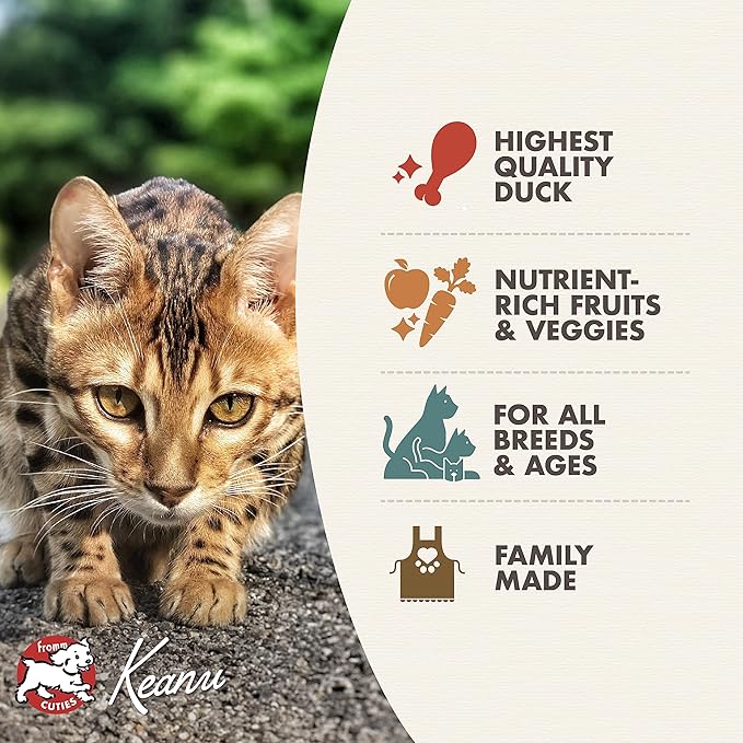 Fromm Four-Star Nutritionals Duck A La Veg Cat Food - Premium Dry Cat Food - Duck Recipe - 10 lb