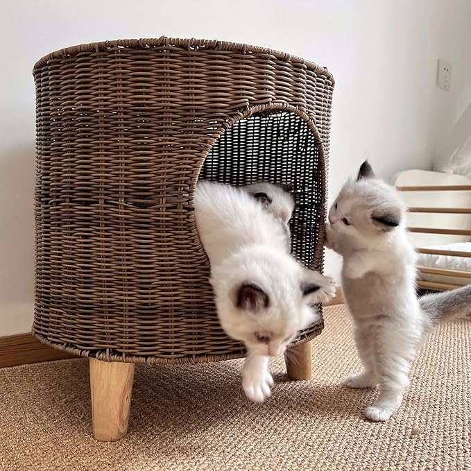 Antique B Elevated Rattan Pet Bed - Breathable Double Layer Cat Villa, Dog Bed House, Outdoor Cat Furniture