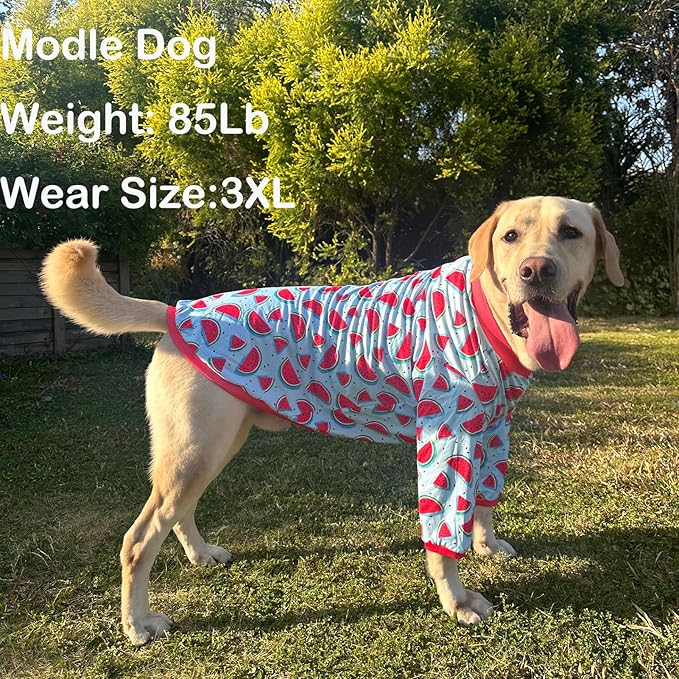 Dog Blue T Shirts Watermelon Pattern Printed Pet Shirt Softable Pajamas for Small Dogs (2XL,Watermelon)