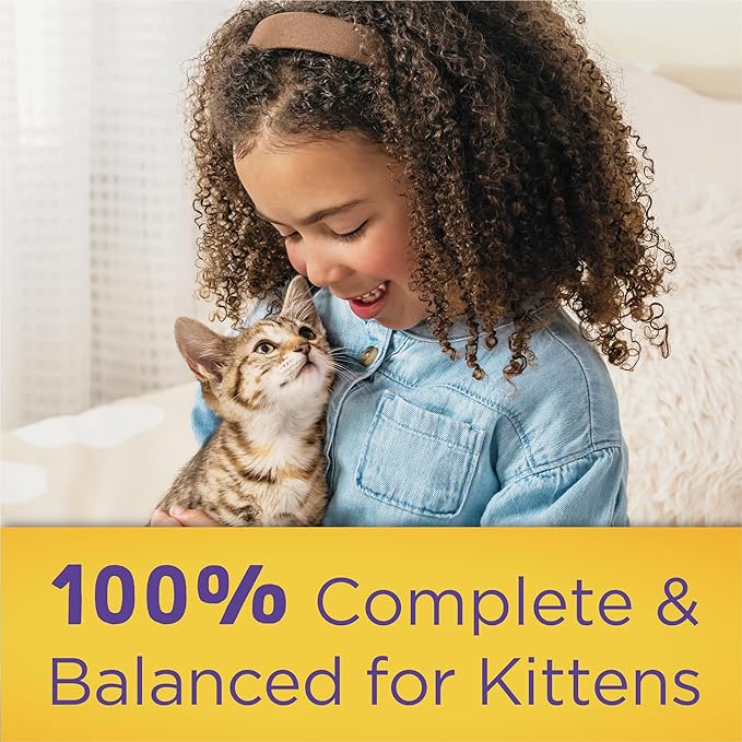Purina Kitten Chow Kitten Food Healthy Development with Real Chicken Dry Kitten Food - (Pack of 4) 3.15 lb. Bag