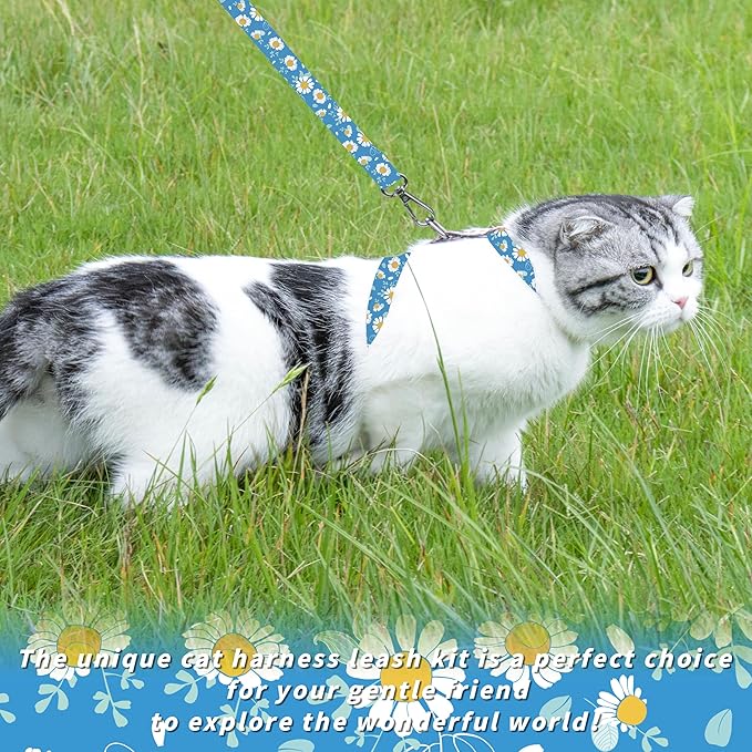 Seyezo Cat Harness and Leash Set, Adjustable Kitten Harness Escape Proof Cats Harness, Soft Lightweight Walking Travel Pet Harness, Cute Kitty Harness Leash Set for Small Medium Cats, Blue Daisy