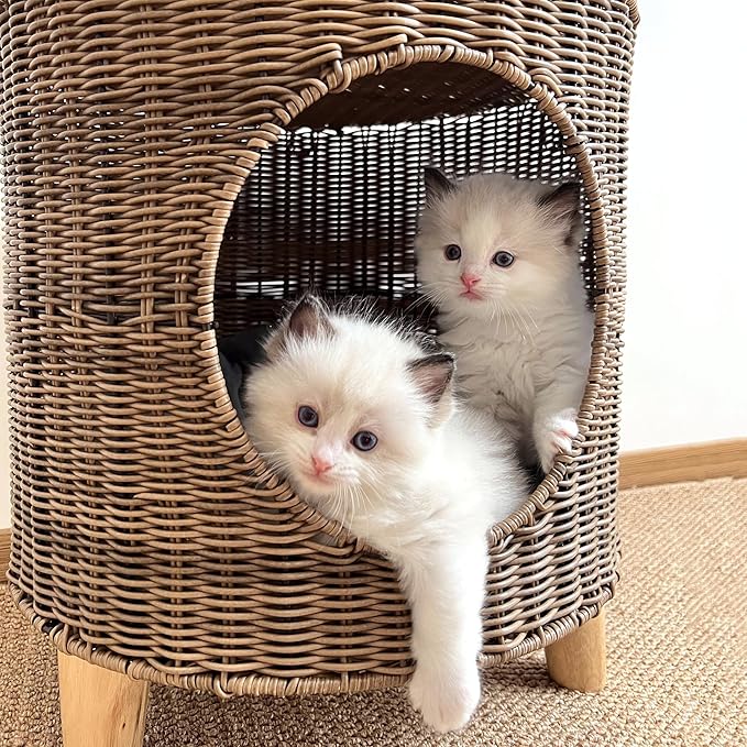 Antique B Elevated Rattan Pet Bed - Breathable Double Layer Cat Villa, Dog Bed House, Outdoor Cat Furniture