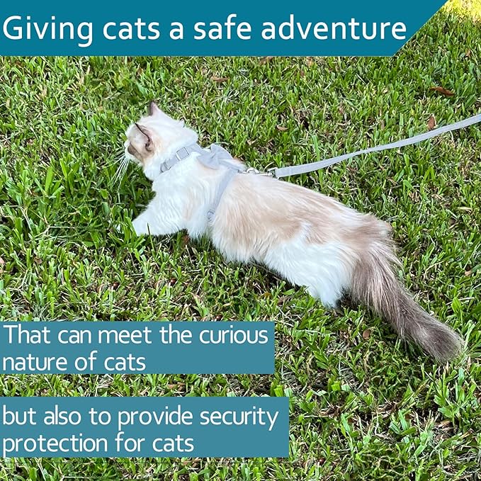 Cat Leash, Cat Harness Escape Proof Ddzmz Soft Mesh Breathable Adjustable Cat Vest Pets Harnesses for Walking Escape Proof Grey Color M Size for Pets Cats Kitten Puppy Rabbit Ferret (1-Pack)