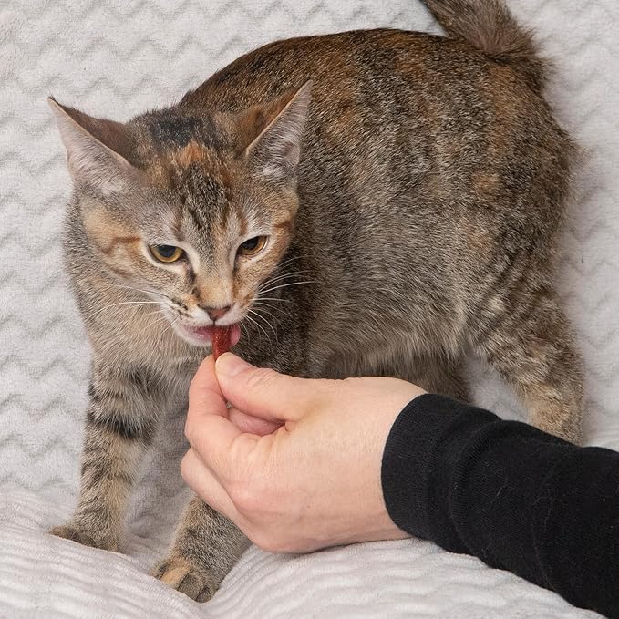 Fieldcrest Farms Nothin’ to Hide Collagen Cat Treats – Crunchy & Creamy Cat Snacks, High-Protein Healthy Treats for Skin, Coat & Joint Support, Salmon Flavor, 3 oz.