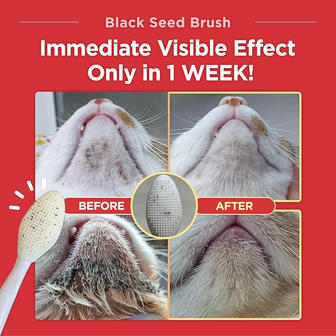 JAYU PET Black Seed Brush - Cat Grooming and Exfoliating Double-Sided Brush for Acne and Chin Treatment (3PCS)