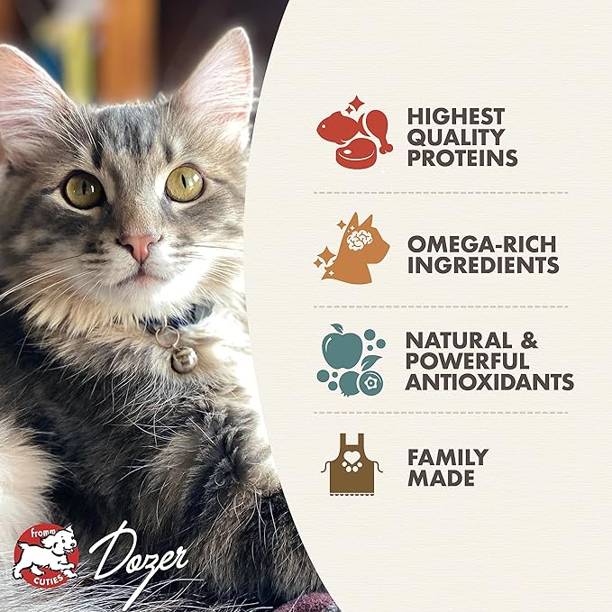 Fromm Kitten Gold Dry Cat Food - Premium Cat Food for Kittens & Pregnant or Nursing Cats - Chicken Recipe - 10 lb