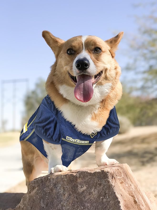 Pets First NCAA College West Virginia Mountaineers Mesh Jersey for DOGS & CATS, Small.Licensed Dog Jersey with your Favorite Football/Basketball College Team