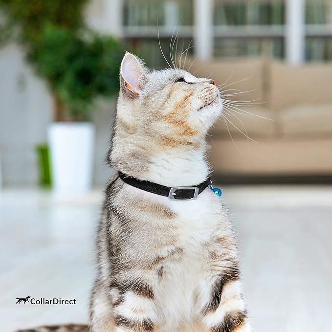 CollarDirect Leather Cat Collar with Removable Bell – Safety Elastic Strap (Breakaway Alternative) – Kitten Collar for Small & Big Boy & Girl Cats