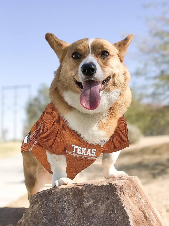Pets First NCAA College Texas Longhorns Mesh Jersey for Dogs & Cats, Size Small, Licensed Dog Jersey with Your Favorite Football/Basketball College Team (Pack of 2)