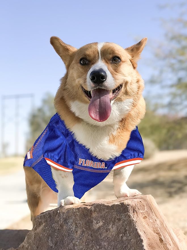 Pets First NCAA FLORIDA GATORS DOG Jersey, Medium, Model:FL-4006-MD