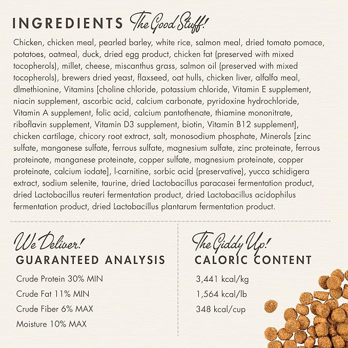 Fromm Healthy Weight Gold Dry Cat Food - Weight Management Cat Food for Adult & Senior Cats - Chicken Recipe - 10 lb