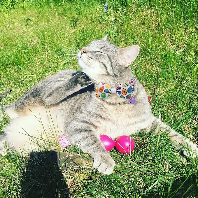 BoomBone Easter Cat Bow Tie Collar Adjustable Breakaway Collar with Bells, Spring Bowtie Kitten Collar