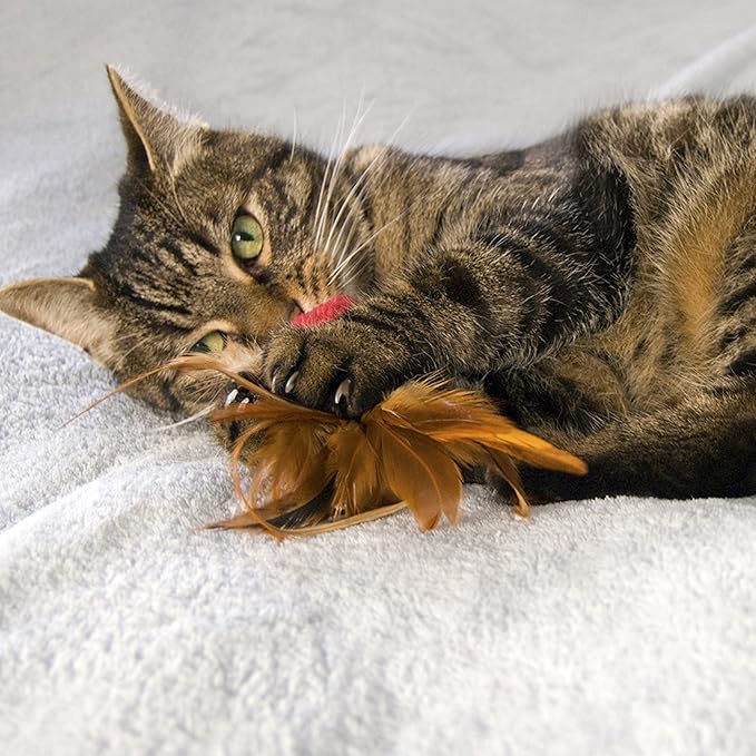 KONG Naturals Crinkle Ball with Feathers Cat Toy, Colors Vary, 2-Pack
