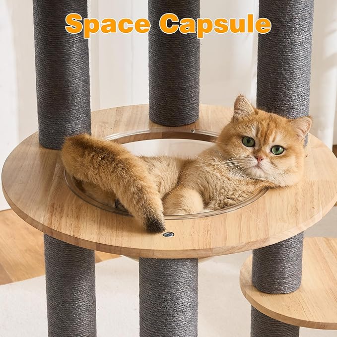 HITTITE Solid Wood Cat Tree Tower with Scratching Post, 61 Inches Tall Cat Towers with Capsule and Condo, Modern Cat Tower with Hammock and Removable Top Bed for Indoor Cats.Grey