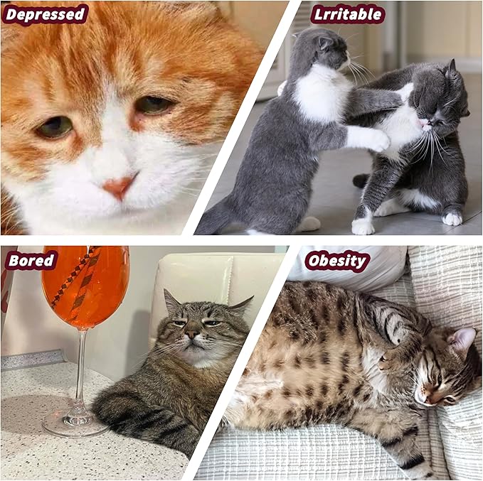 5pcs Catnip Toys, Funny cat Toys, bite Resistant cat Toys, Indoor Cartoon cat Toys for cat,cat chew Toys