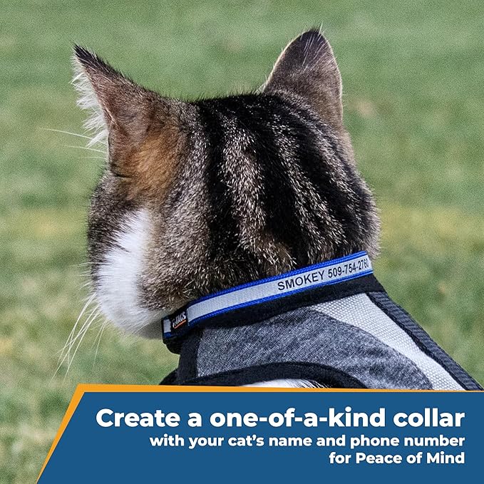 GoTags Personalized Reflective Cat Collars, Engraved Custom Cat Collar with Name and Phone ID, Breakaway Collar with Safety Release Buckle and Bell, Adjustable for Cats and Kitten (Hunter Green)