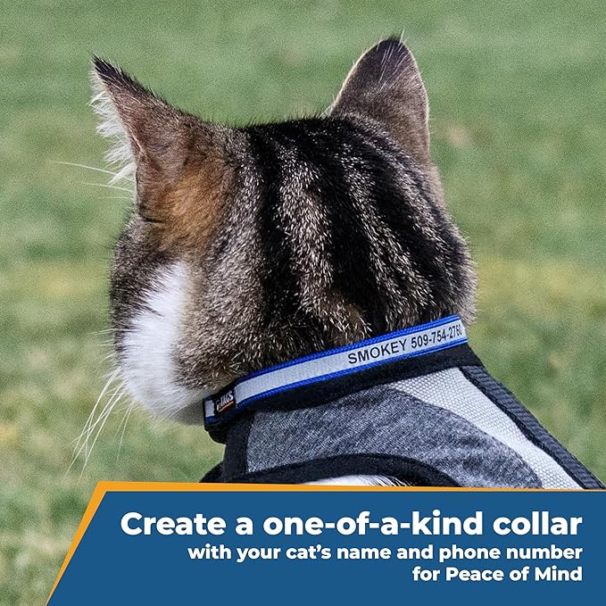 GoTags Personalized Reflective Cat Collars, Engraved Custom Cat Collar with Name and Phone Identification, Breakaway Collar with Safety Release Buckle and Bell, Adjustable for Cats and Kitten, (Black)