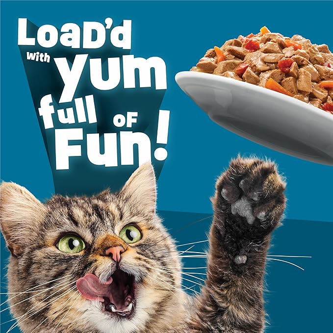 Purina Friskies Fully Load’d Wet Cat Food Variety Pack with Chicken, Salmon, or Tuna in Wet Cat Food Gravy - 5.5 Ounce (Pack of 12)
