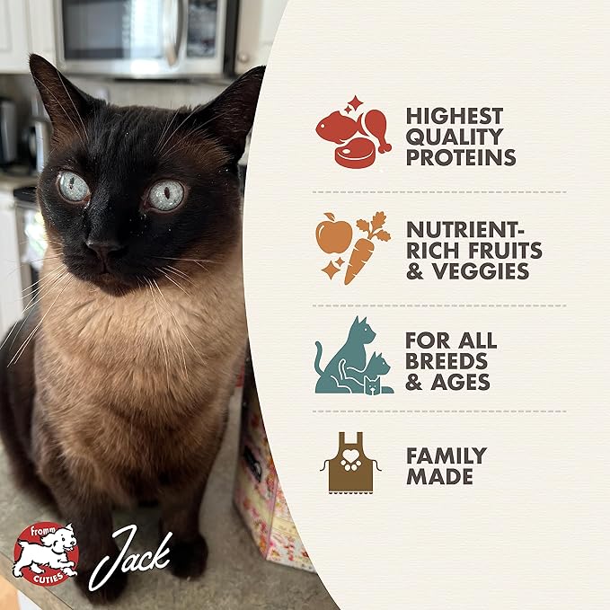 Fromm Four-Star Nutritionals Surf & Turf Cat Food - Premium Dry Cat Food - Salmon Recipe - 4 lb