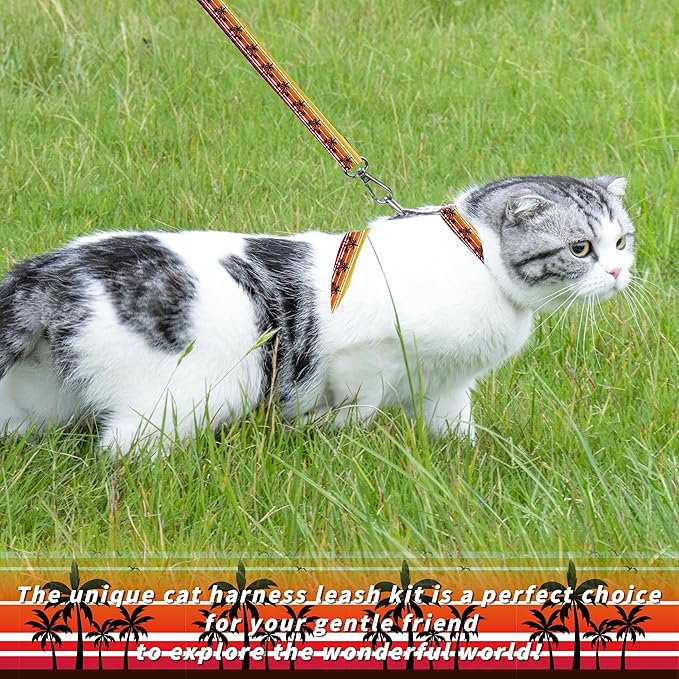 Seyezo Cat Harness and Leash Set, Adjustable Kitten Harness Escape Proof Cats Harness, Soft Lightweight Walking Travel Pet Harness, Cute Kitty Harness Leash Set for Small Medium Cats, Orange