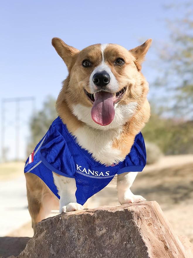 Pets First NCAA College Kansas Jayhawks Mesh Jersey for DOGS & CATS, Medium. Licensed Dog Jersey with your Favorite Football/Basketball College Team