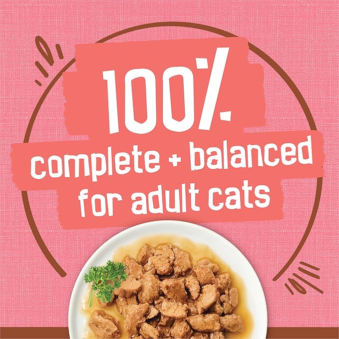 Purina Friskies Extra Gravy Wet Cat Food Chunky With Salmon in Savory Gravy - (Pack of 24) 5.5 oz. Cans