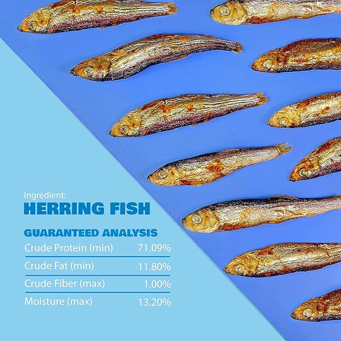Benji & Louie Air Dried Herring Fish for Dogs and Cats - Natural Healthy Dog and Cat Treats, Single Ingredient, 3 oz
