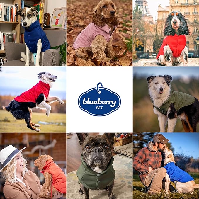Blueberry Pet Cozy & Comfy Windproof Waterproof Quilted Fall Winter Dog Puffer Jacket in Dark Olive, Back Length 13 3/4", Size 12", Warm Coat for Small Dogs