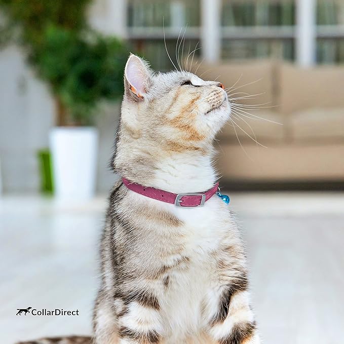 CollarDirect Leather Cat Collar with Removable Bell – Safety Elastic Strap (Breakaway Alternative) – Kitten Collar for Small & Big Boy & Girl Cats