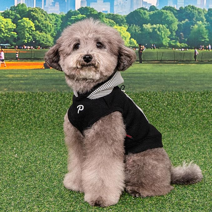 Puppia Xander Dog Shirt Hooded Trendy Fashionable Cute Dog Apparel for Small and Medium Dogs, Black, Large