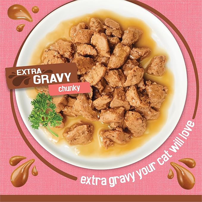 Purina Friskies Extra Gravy Wet Cat Food Chunky With Salmon in Savory Gravy - (Pack of 24) 5.5 oz. Cans