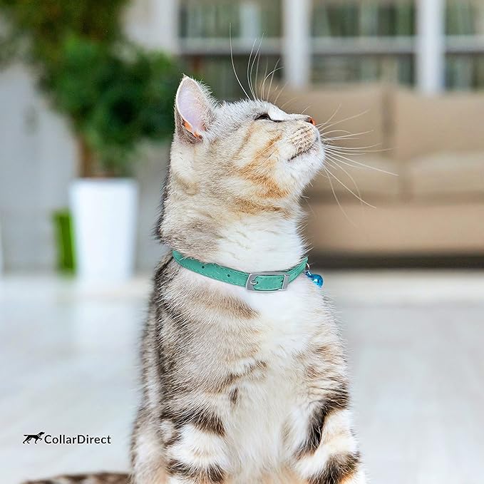 CollarDirect Leather Cat Collar with Removable Bell – Safety Elastic Strap (Breakaway Alternative) – Kitten Collar for Small & Big Boy & Girl Cats