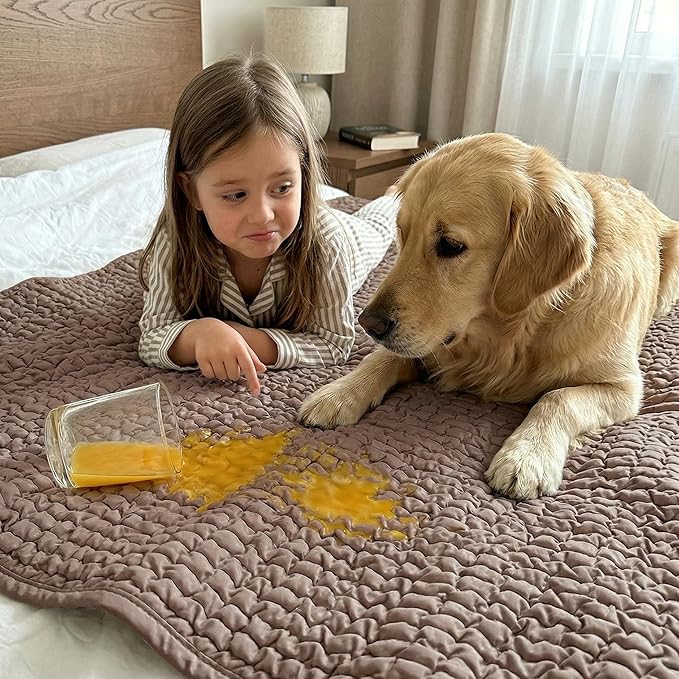 PAULATO BY GA.I.CO. Waterproof Blanket for Bed – Queen Absorbent Couch Cover – Machine Washable Stain-Proof Pad for Large Sofa – Pets Dogs & Cats Friendly Protector - Marsala